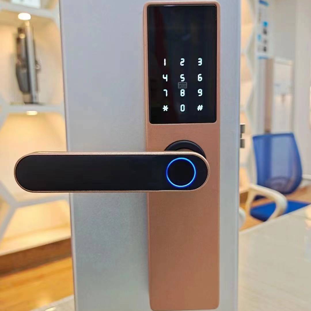 Fingerprint lock for wooden door, graffiti pass