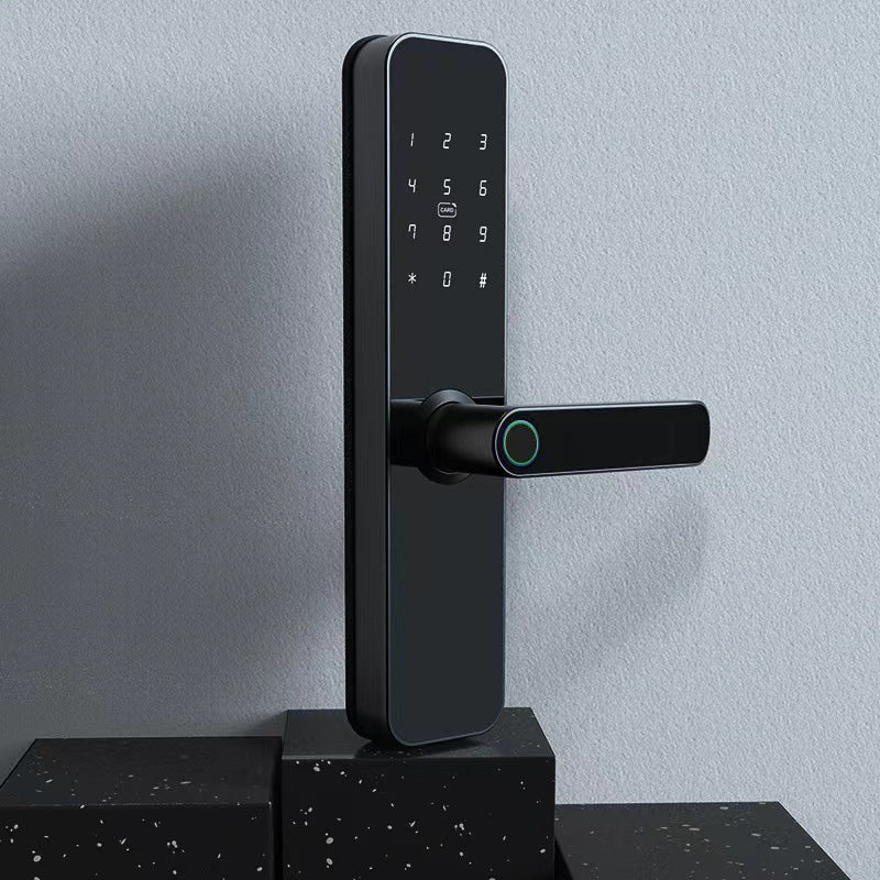 Fingerprint lock for wooden door, graffiti pass