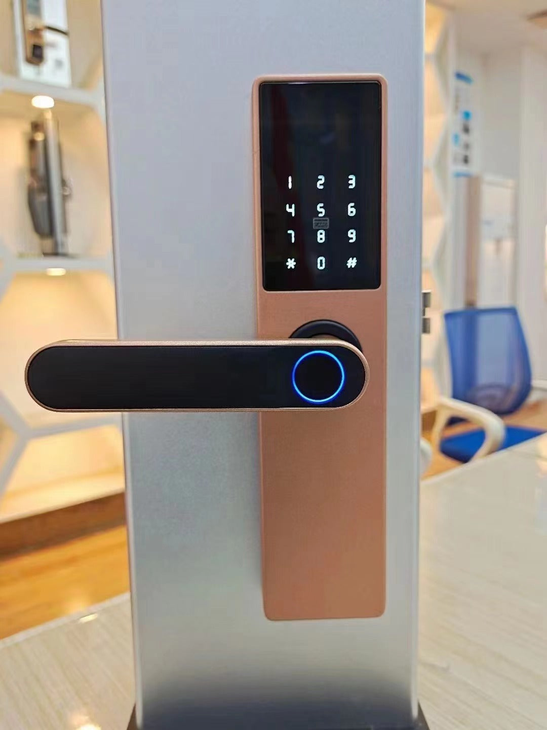 Fingerprint lock for wooden door, graffiti pass