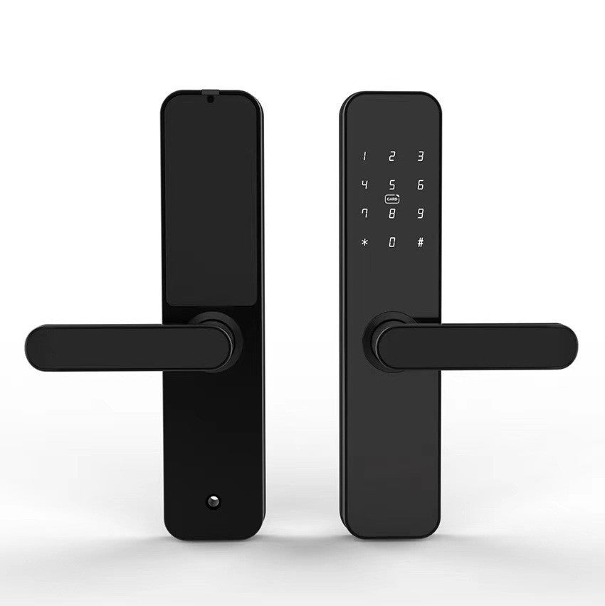 Fingerprint lock for wooden door, graffiti pass